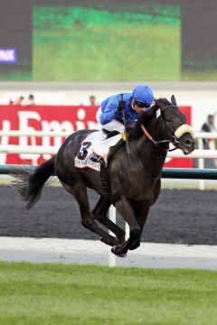 "Fliegt" zum Sieg im Dubai Gold Cup: Cavalryman mit Silvestre de Sousa. www.galoppfoto.de - Frank Sorge