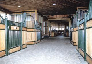 Rundumblick nach allen Seiten haben die Pferde im Gestüt Höny-Hof, auch nach draußen. Foto: Planungsgruppe Leve